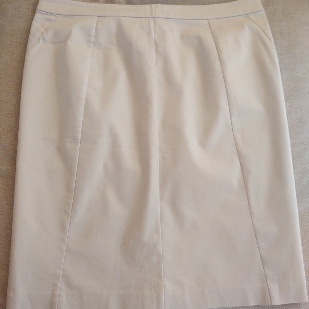 Ann Taylor Tan Skirt